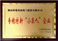 公司獲評(píng)國(guó)家級(jí)專(zhuān)精特新“小巨人”企業(yè)